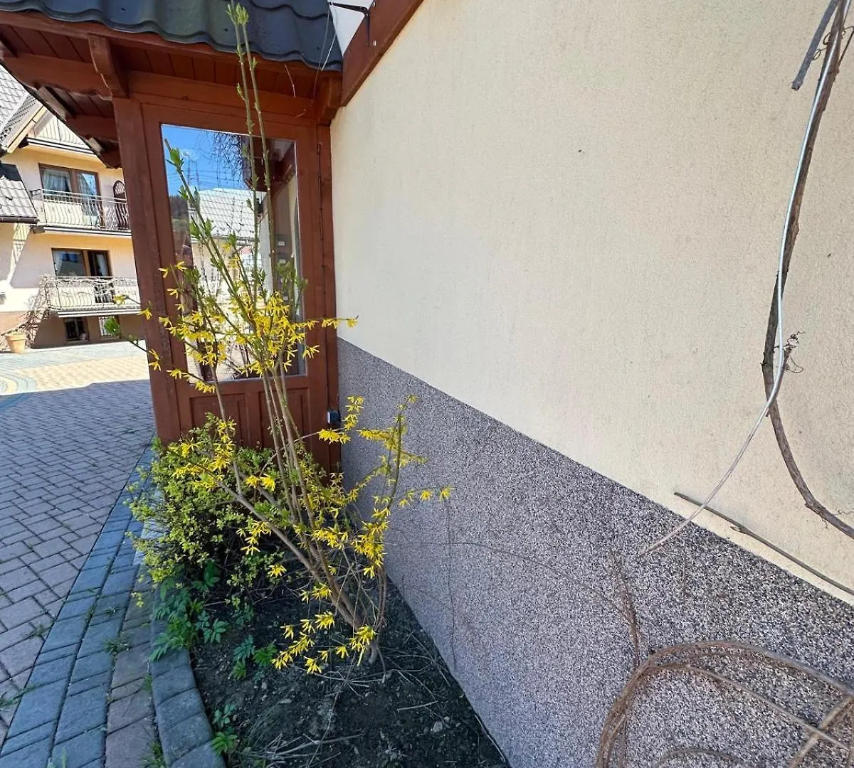 アパート Apartament, Studio, Pokoj Nad Potokiem ザコパネ ポーランド