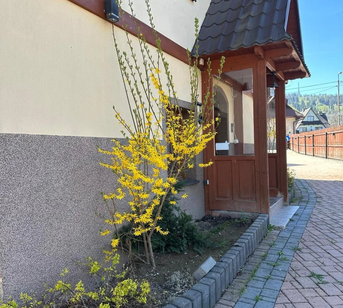 Apartament, Studio, Pokoj Nad Potokiem ザコパネ